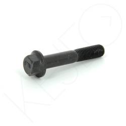 Vis m10x1.25x57