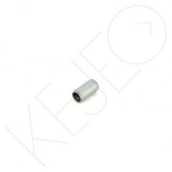 Pion