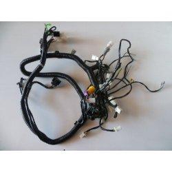 FAISCEAU ELECTRIQUE PRINCIPAL