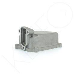 Cache culbuteur