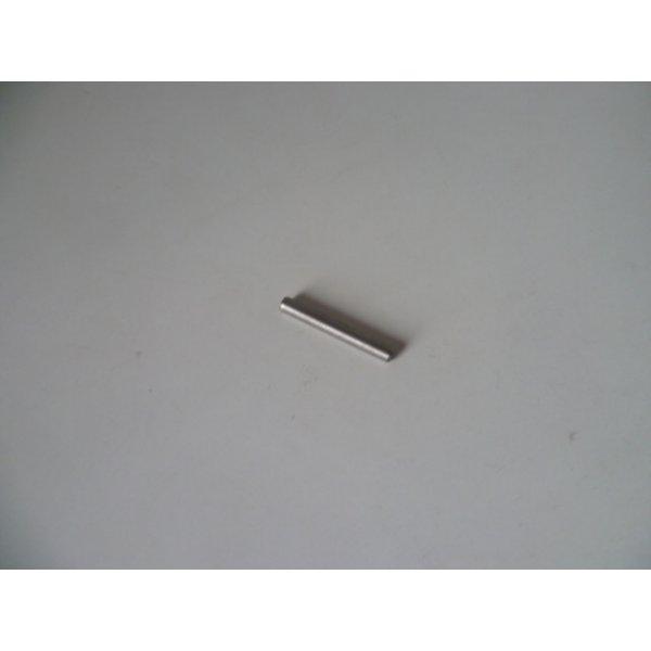 PION