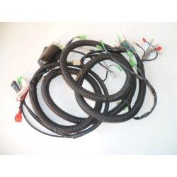FAISCEAU ELECTRIQUE