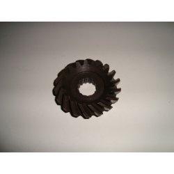 PIGNON FINAL