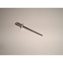 RIVET