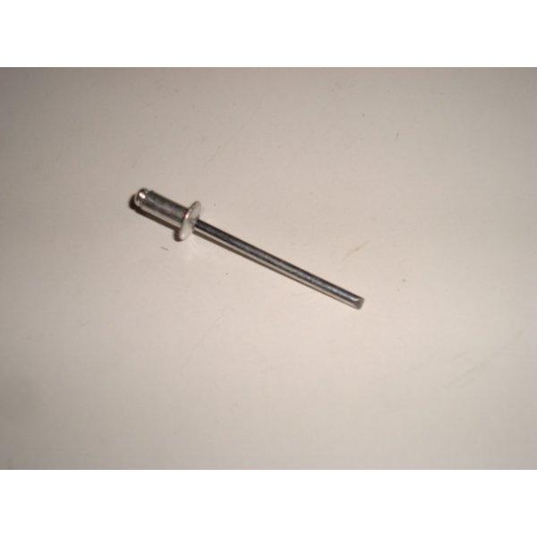 RIVET