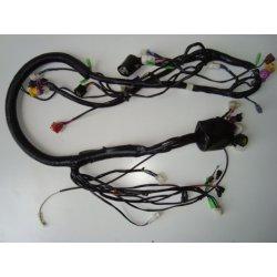 FAISCEAU ELECTRIQUE PRINCIPAL