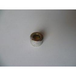 BOUCHON DE VIDANGE