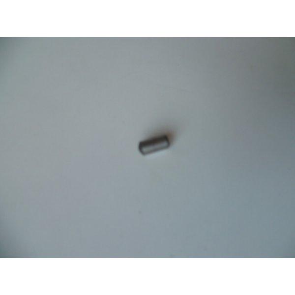 PION