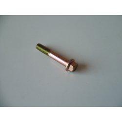 VIS M12x70