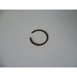 CLIPS