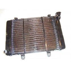 RADIATEUR (marques de stockage possibles)