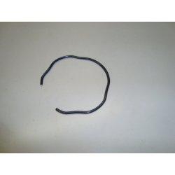 CLIPS