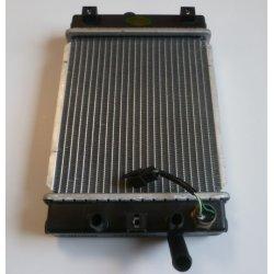 RADIATEUR AVEC SONDE