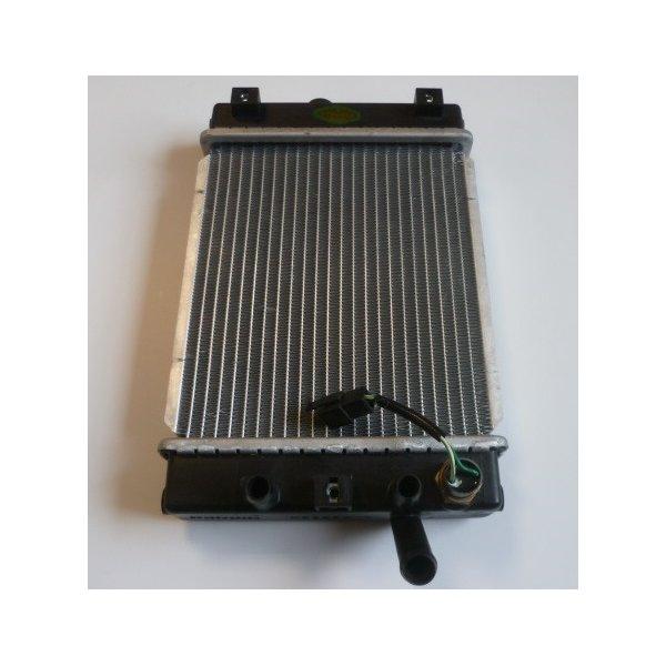 RADIATEUR AVEC SONDE