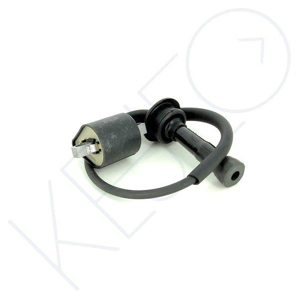 Bobine D'Allumage CDI-63R Pour Dinli, Masai, Hytrack 600-800 - Sans Limiteur De Vitesse