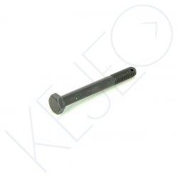 Vis m10x1.25x85