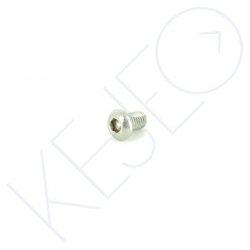 Vis m6x10