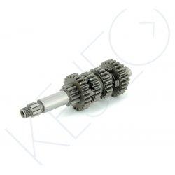 ARBRE PRIMAIRE COMPLET 21 DENTS
