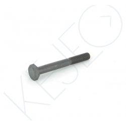 VIS M10X1.25X80