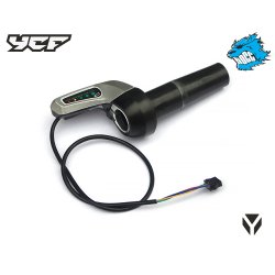 YC50-0138-01.jpg