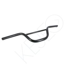 Guidon