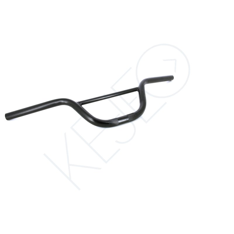 Guidon