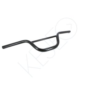 Guidon