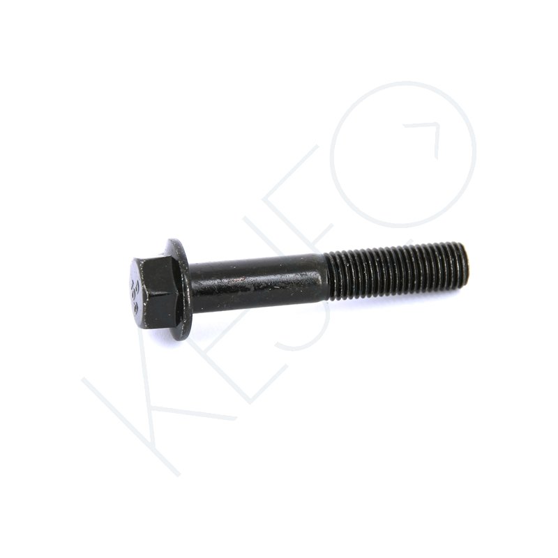 Vis m10x1.25x52