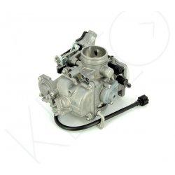 Ensemble carburateur hy550