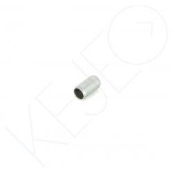 PION