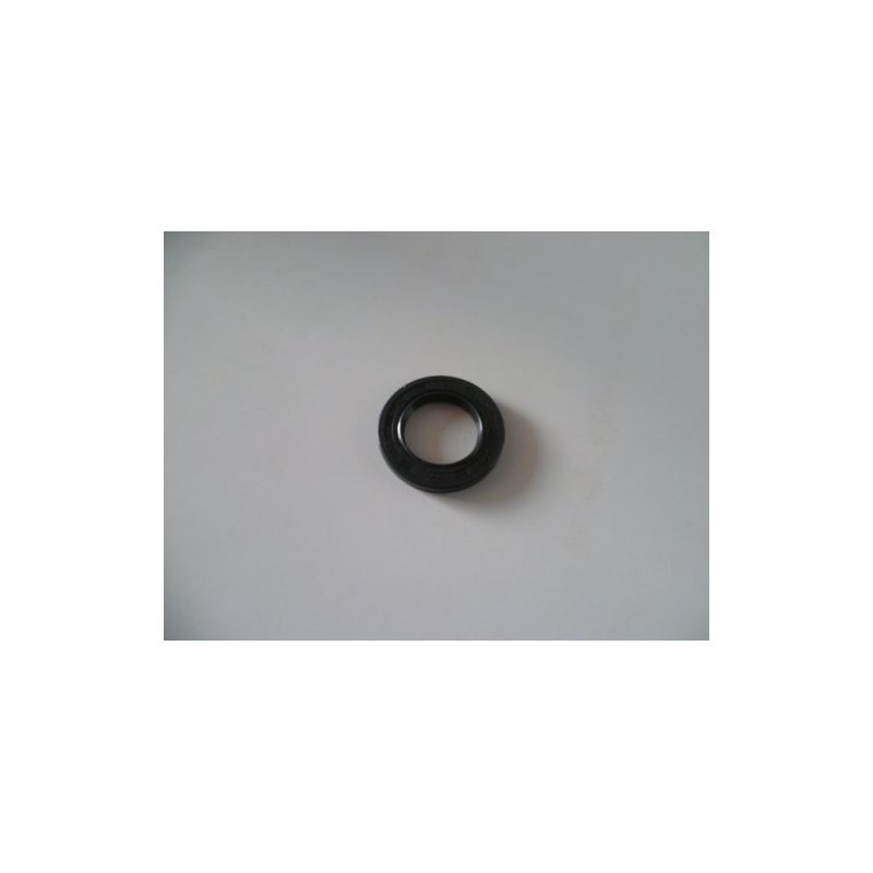 JOINT SPI 25x40x5