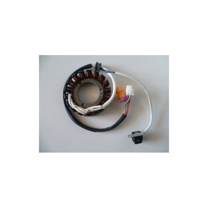 STATOR (GRAND FIL DE CAPTEUR)
