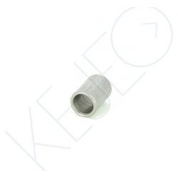 PION