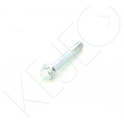 Vis m10x75
