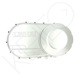 Cache variateur