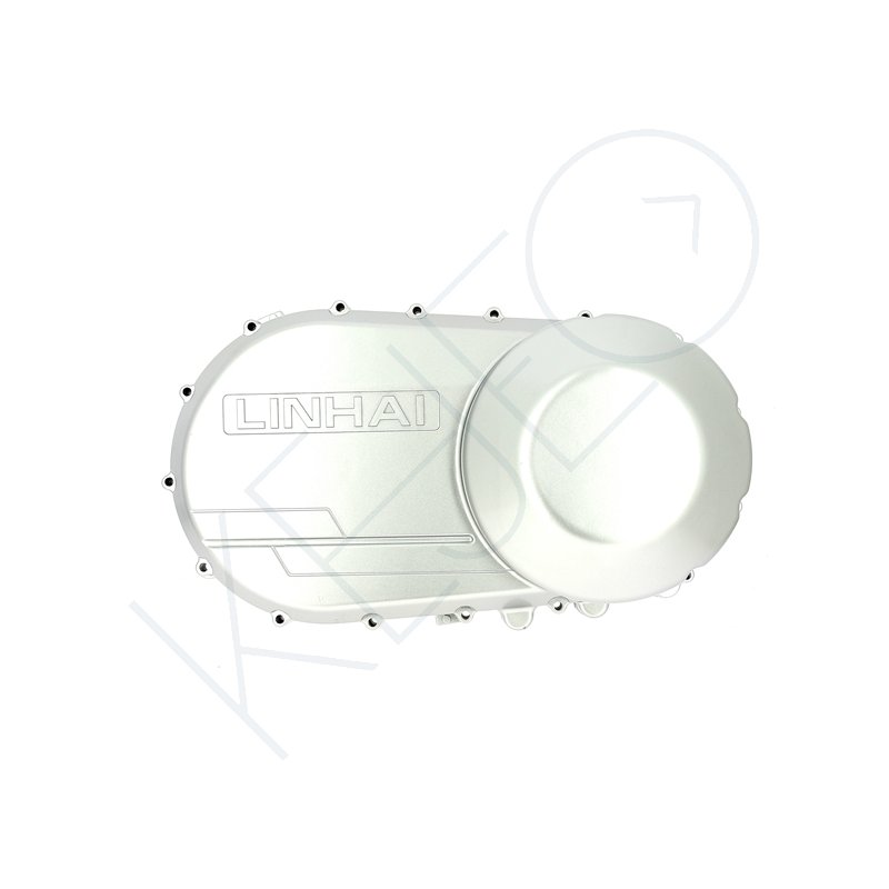 Cache variateur