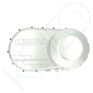 Cache variateur
