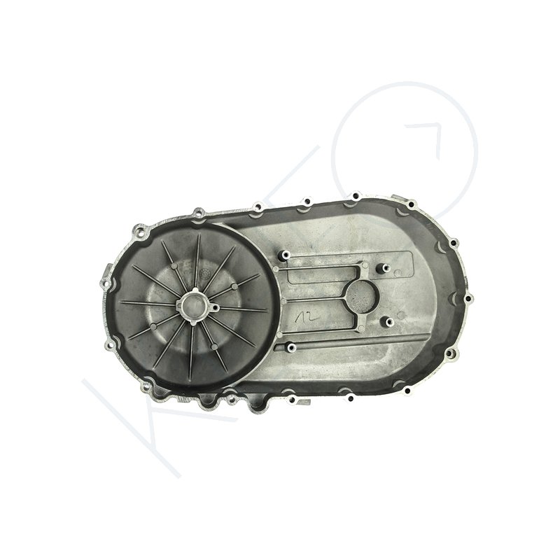 Cache variateur