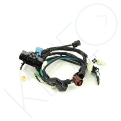 ENSEMBLE FAISCEAU INJECTION