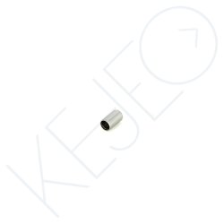 PION