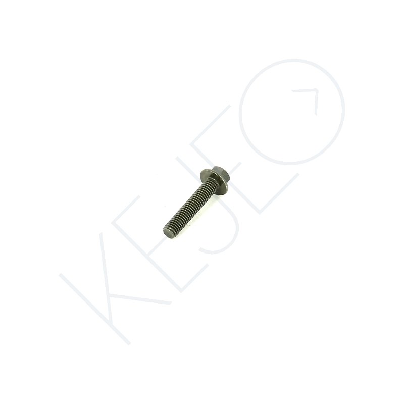 Vis m6x30