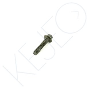 Vis m6x30