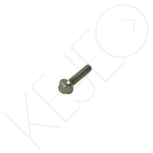 Vis m6x30