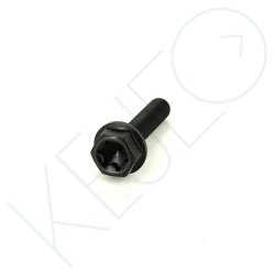 VIS M10X1.25X45