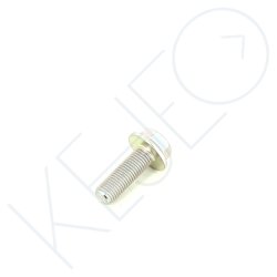 VIS HEXA A BRIDE M10X1.25X30