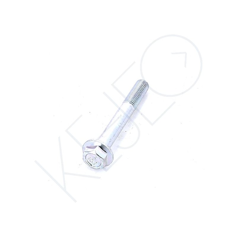 VIS A BRIDE HEXA M10X1.25X75