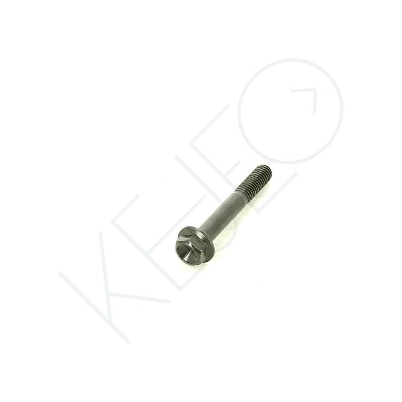 VIS M8X55