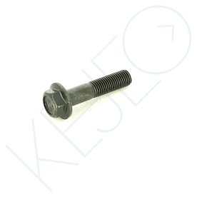 Vis m10x45