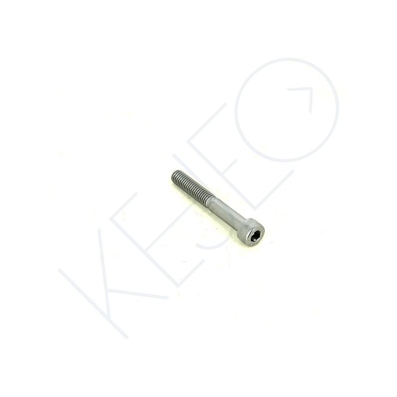 VIS M8X55 (GB/T70.1)