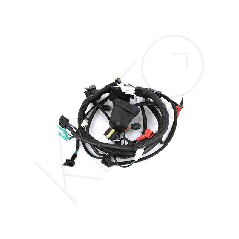 Faisceau Principal Koso 49209 Pour DB01R BO018000